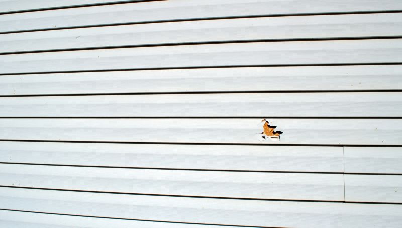 Assessment and Planning