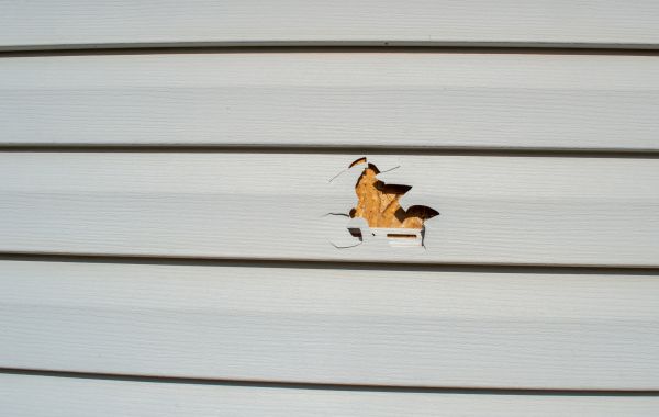 Siding Hole Repair in Hendersonville